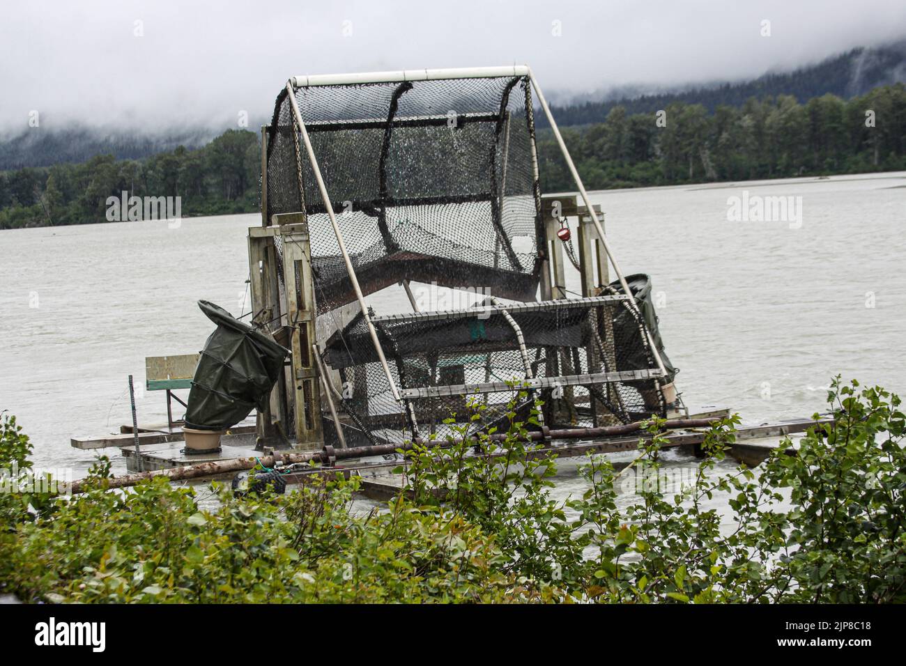 Lachs Fishery Haines ist ein von der Volkszählung gekennzeichter Ort in Haines Borough, Alaska, USA. Es liegt im nördlichen Teil des Alaska Panhandl Stockfoto