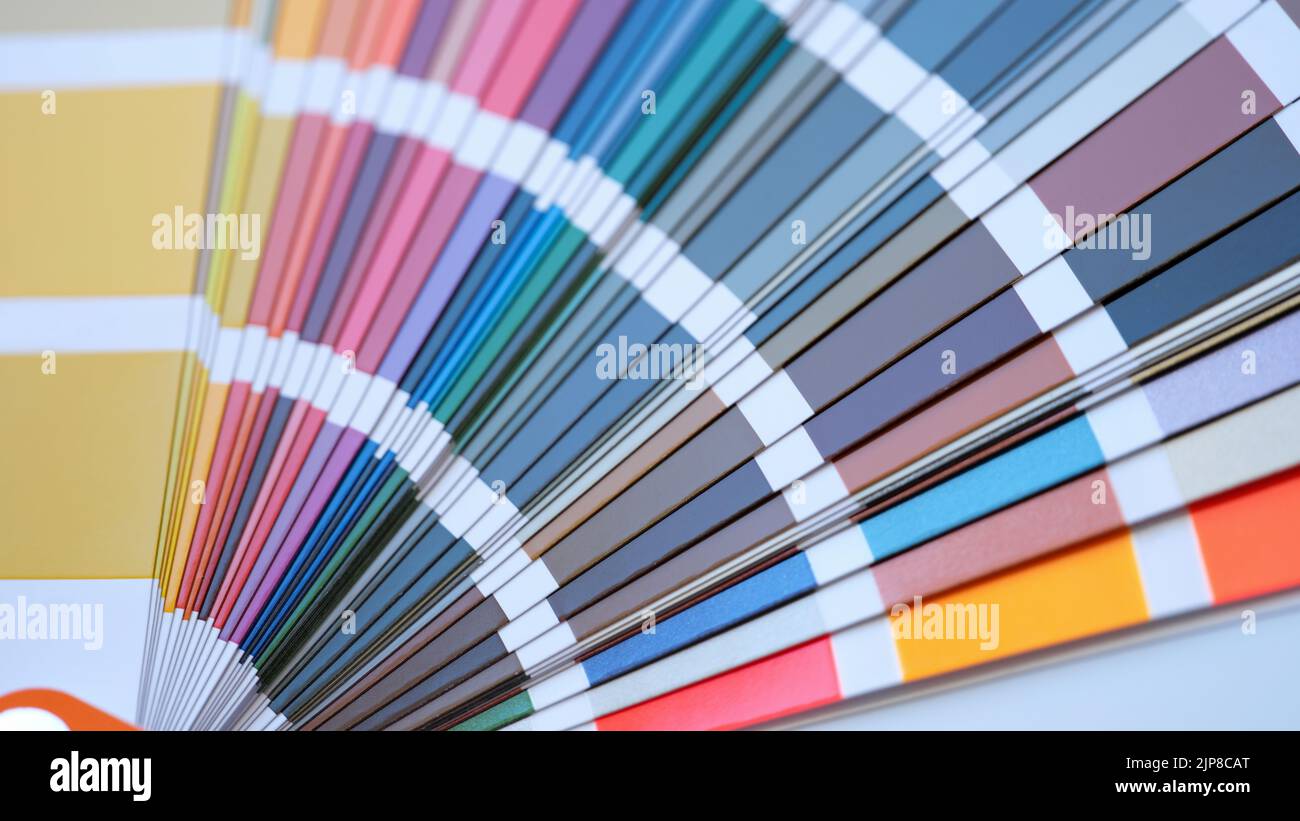 Palettenfächer mit verschiedenen mehrfarbigen Farbmustern Stockfoto