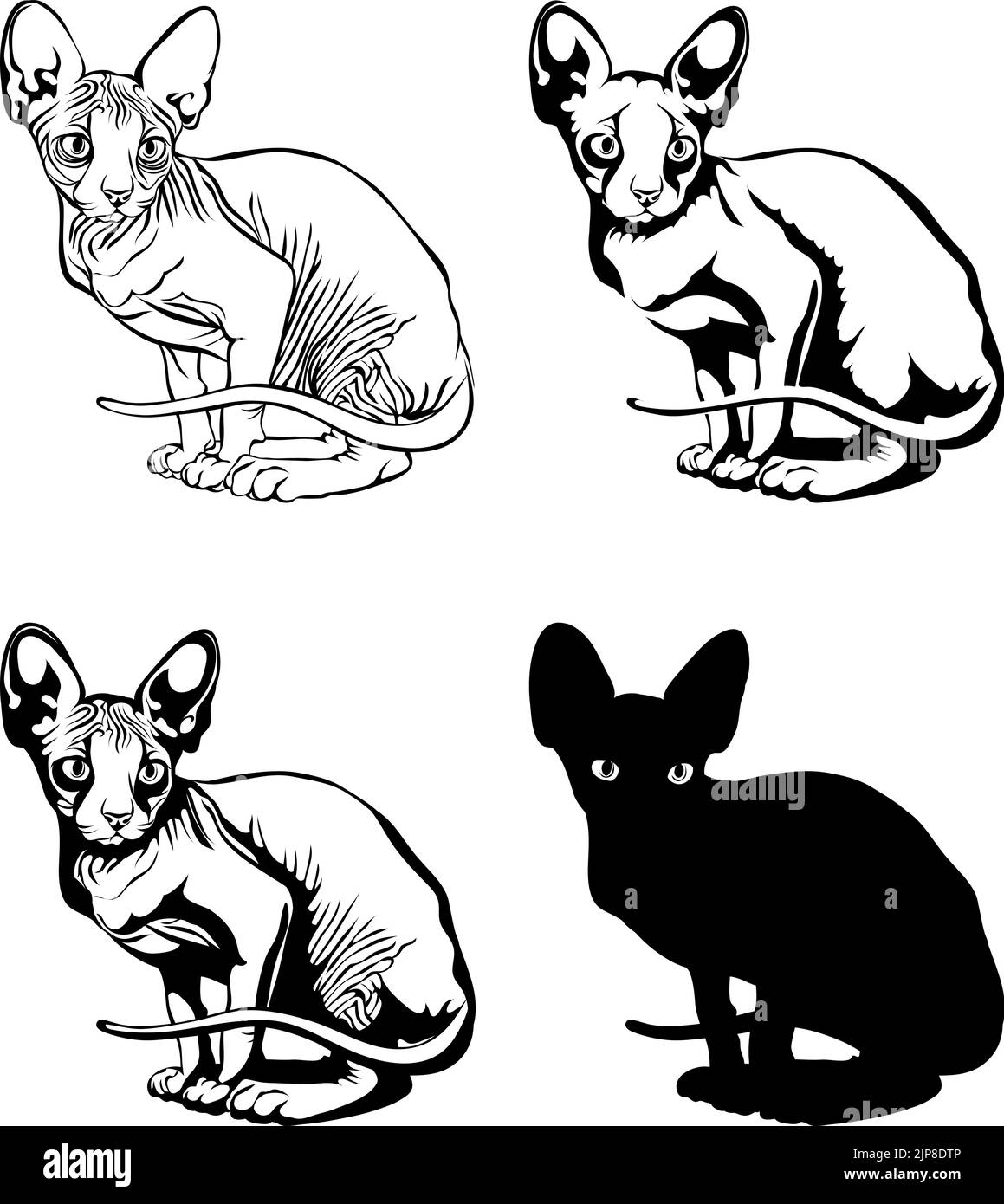 Grafikbild einer Katze, Bild einer sitzenden Sphinx-Katze, Illustration, Set, weiß-schwarz, für Icon, Kunst, Symbol, Grafik, Zeichnung Stock Vektor