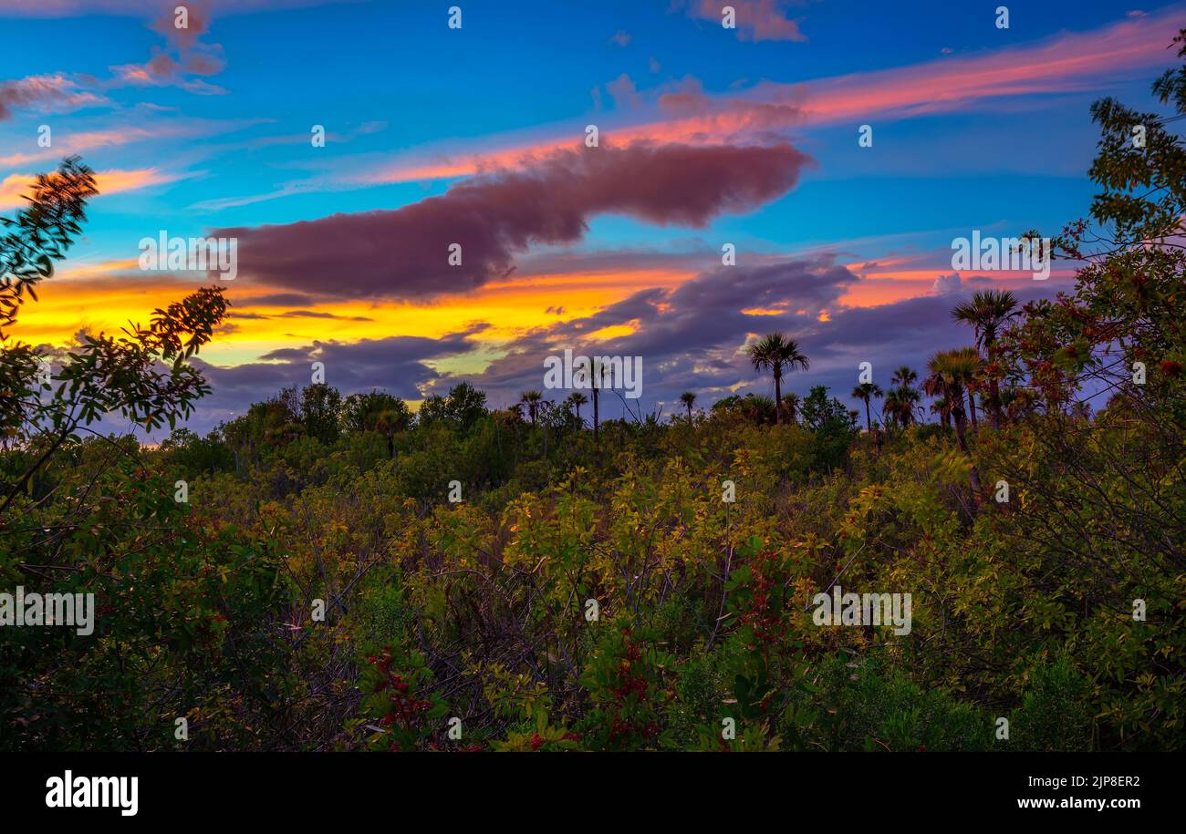 Farbenfroher Sonnenuntergang über dem Everglades National Park in Florida Stockfoto