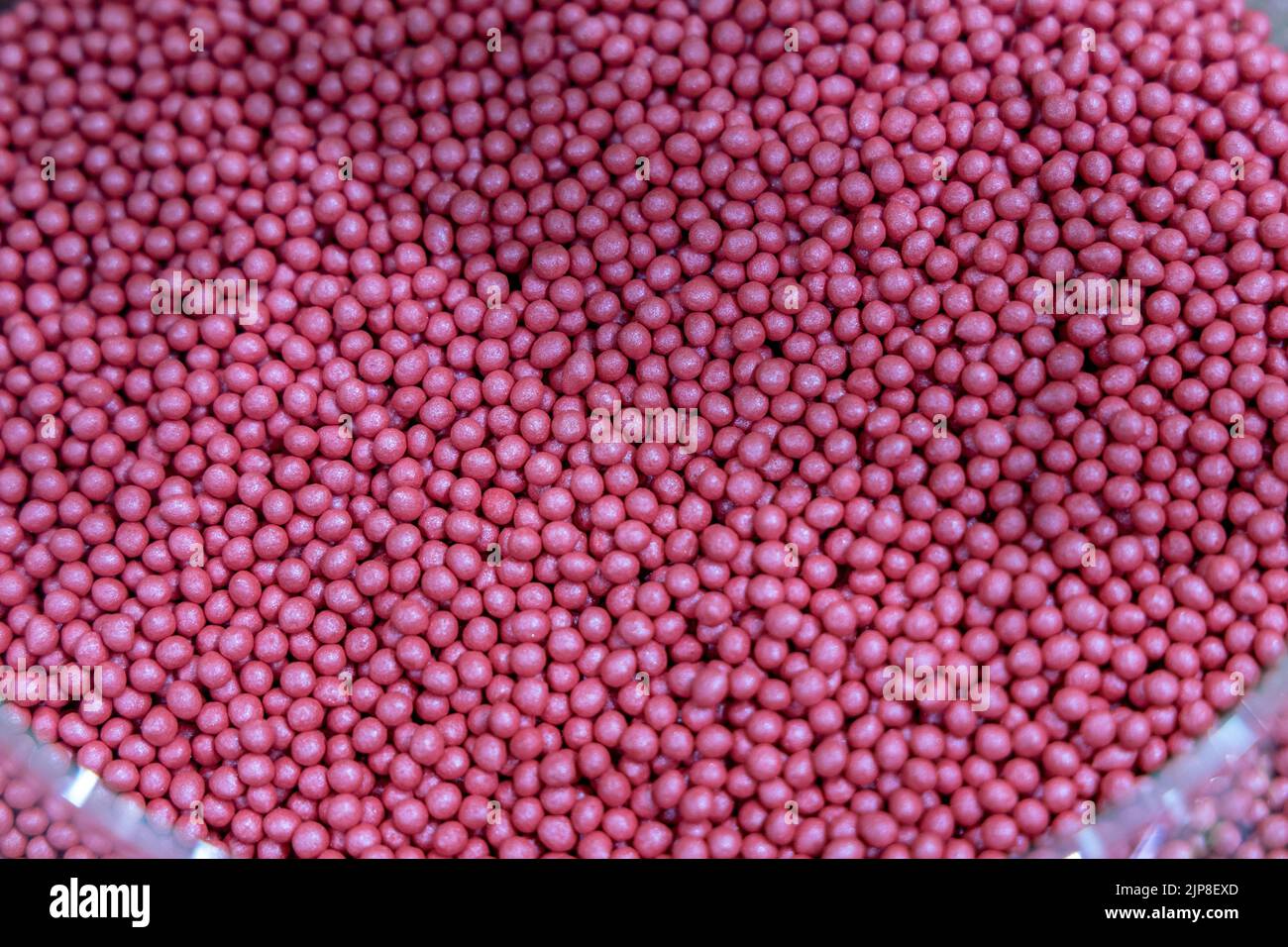 Mit Pestiziden behandeltes eingelegtes Zuckerrübensaatgut Stockfoto