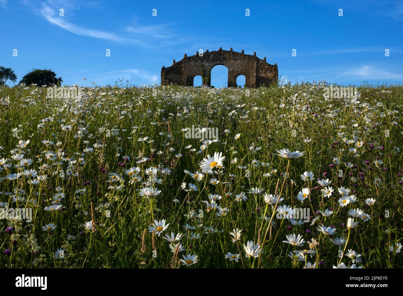 Rousham Folly (Blickfang) im Turm Aston , Oxfordshire Stockfoto