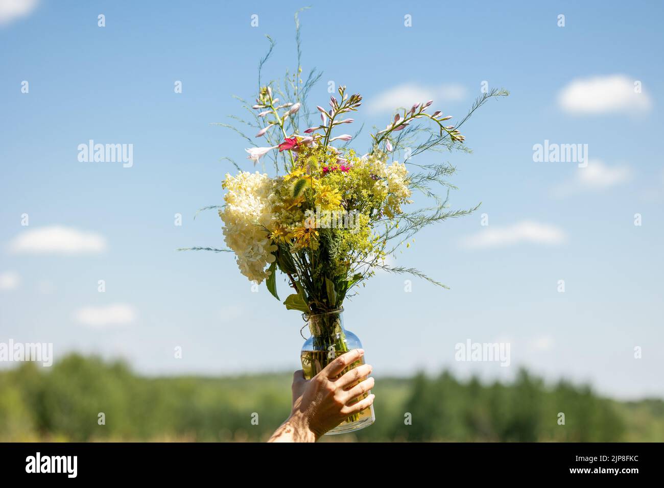 Eine Hand, die ein Glas mit Feldblumen mit einem verschwommenen Hintergrund des Himmels hält Stockfoto