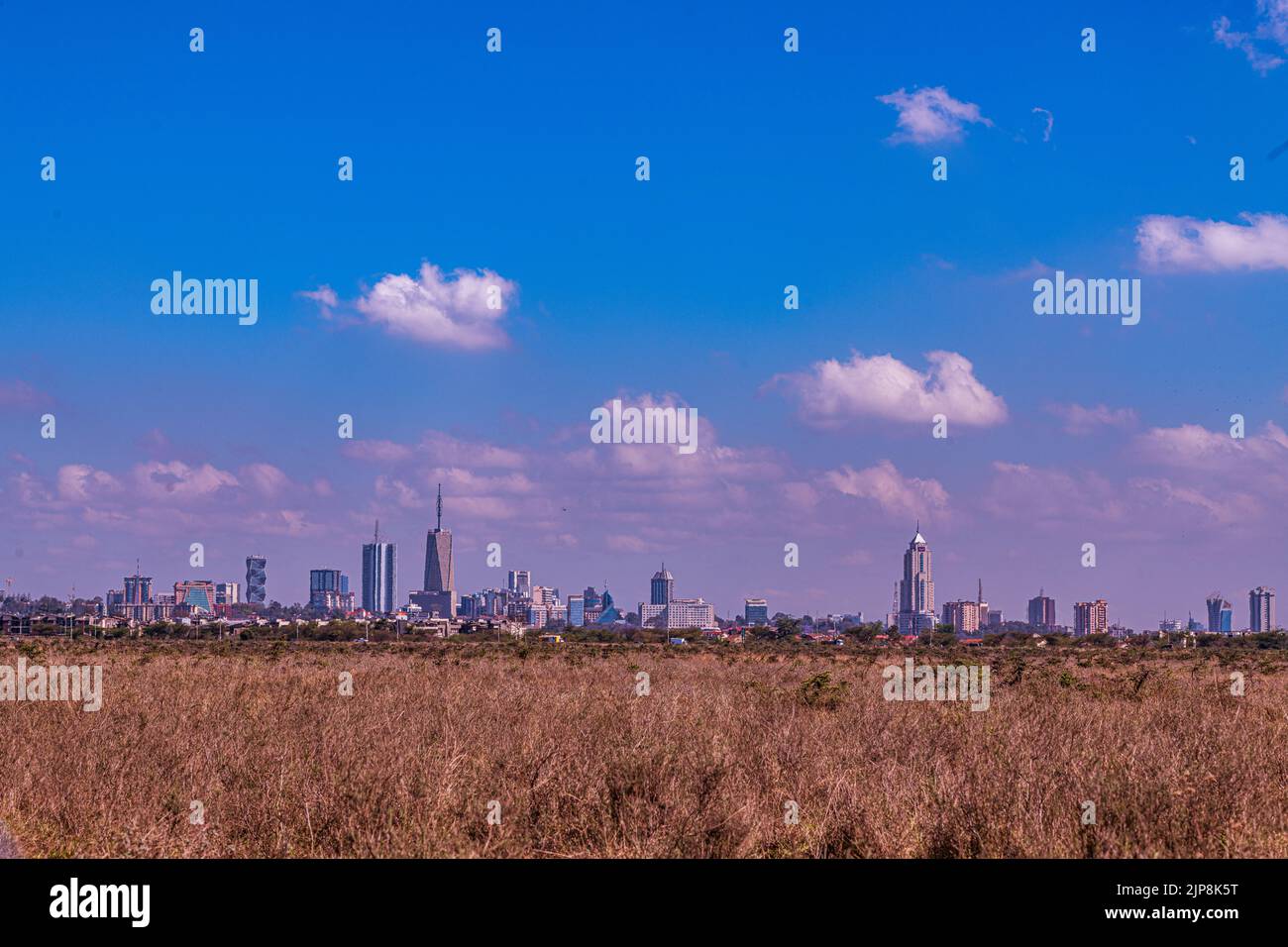 Nairobi City County Nationalpark Vögel Tiere Wildtiere Savanne Grasland Landschaften Panoramablick malerische Ausblicke magische Kenia Ostafrika Discovery Exp Stockfoto