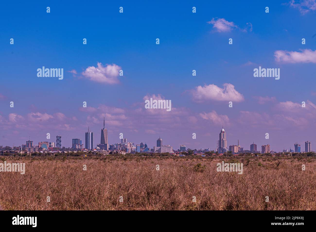 Nairobi City County Nationalpark Vögel Tiere Wildtiere Savanne Grasland Landschaften Panoramablick malerische Ausblicke magische Kenia Ostafrika Discovery Exp Stockfoto