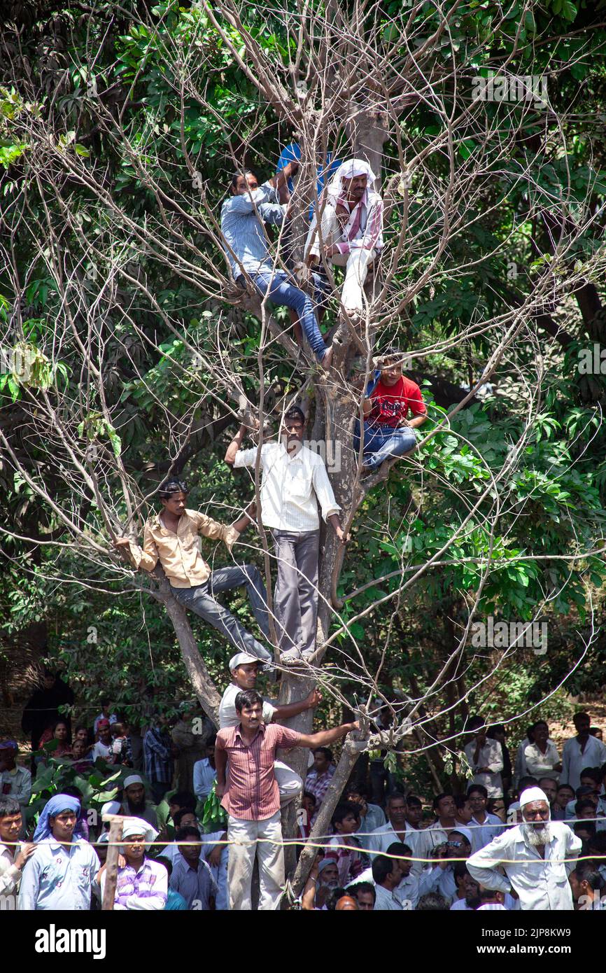 Menschen auf dem Baum, die den Gebäudeeinsturz betrachten, Mumbra, Bombay, Mumbai, Maharashtra, Indien am 5. April 2013 Stockfoto