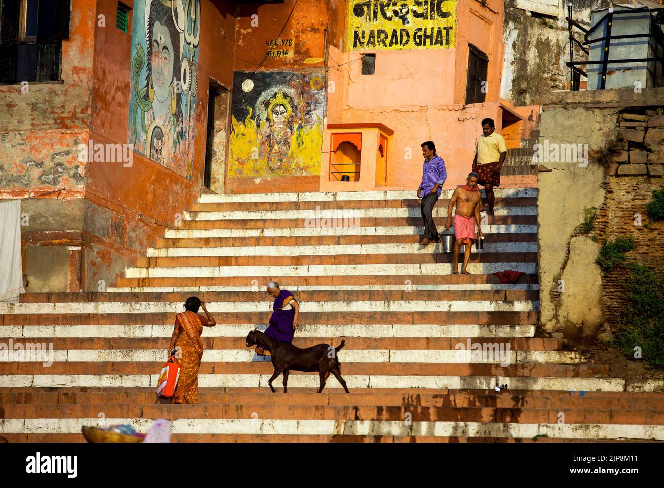 Schritte von Narad Ghat, Varanasi, Banaras, Benaras, Kashi, Uttar Pradesh, Indien Stockfoto