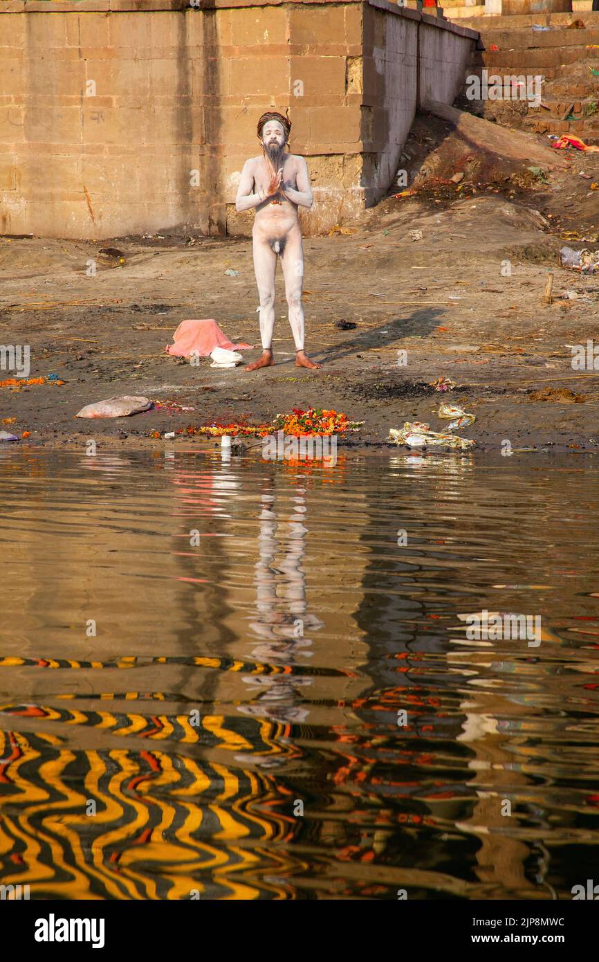 Naga sadhu beim Gebet am Ganga River Ganges, Varanasi, Banaras, Benaras, Kashi, Uttar Pradesh, Indien Stockfoto