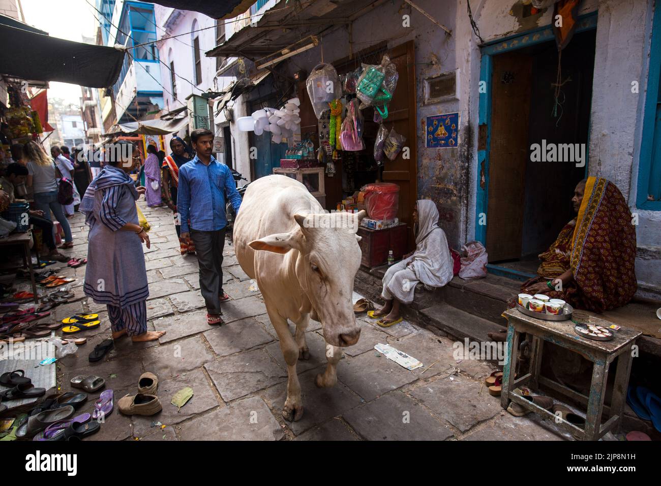 Kuhblockstraße, Varanasi, Banaras, Benaras, Kashi, Uttar Pradesh, Indien Stockfoto