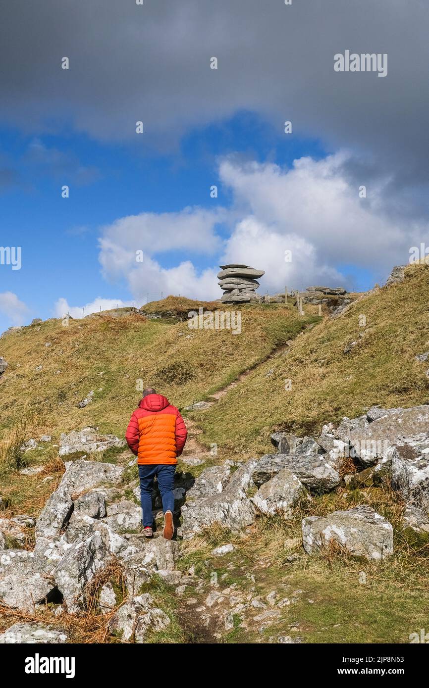 Ein Wanderer in einer leuchtend roten Jacke, der einen rauen Fußweg zum Gesteinsstapel Cheesewring auf dem Stowes Hill auf Bodmin Moor in Cornwall hinaufgeht. Stockfoto