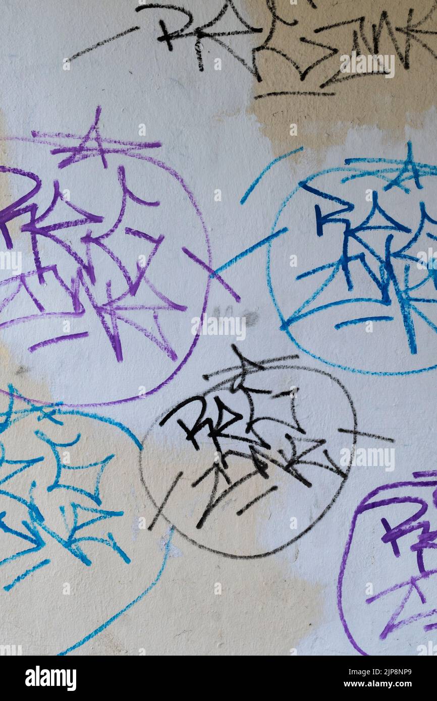 Graffiti-Tags, die eine Wand in einem Tierheim in Newquay in Cornwall im Vereinigten Königreich verunstalten. Stockfoto