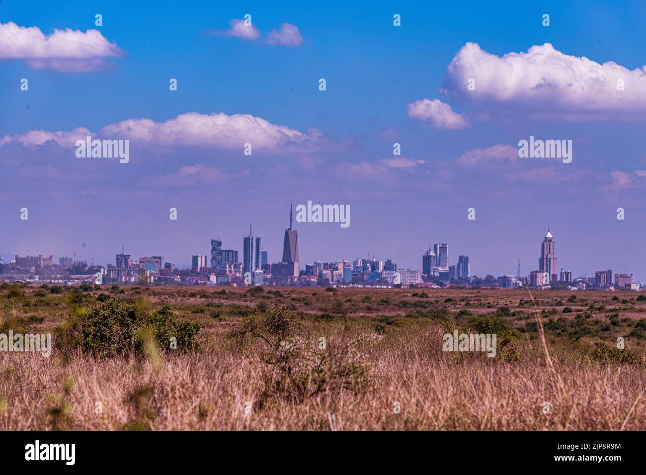 Nairobi City County Nationalpark Vögel Tiere Wildtiere Savanne Grasland Landschaften Panoramablick malerische Ausblicke magische Kenia Ostafrika Discovery Exp Stockfoto
