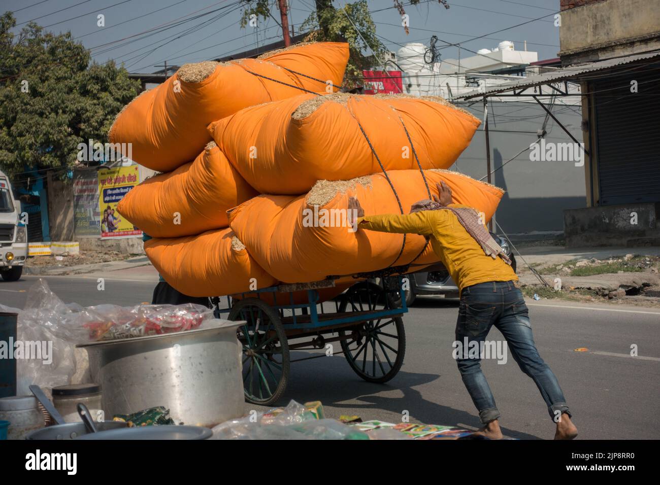 Februar 21. 2021 Dehradun Indien. Ein Arbeiter schob Stapel gebündeltes Heu, das als Viehfutter verwendet wurde, auf einen Handwagen. Stockfoto