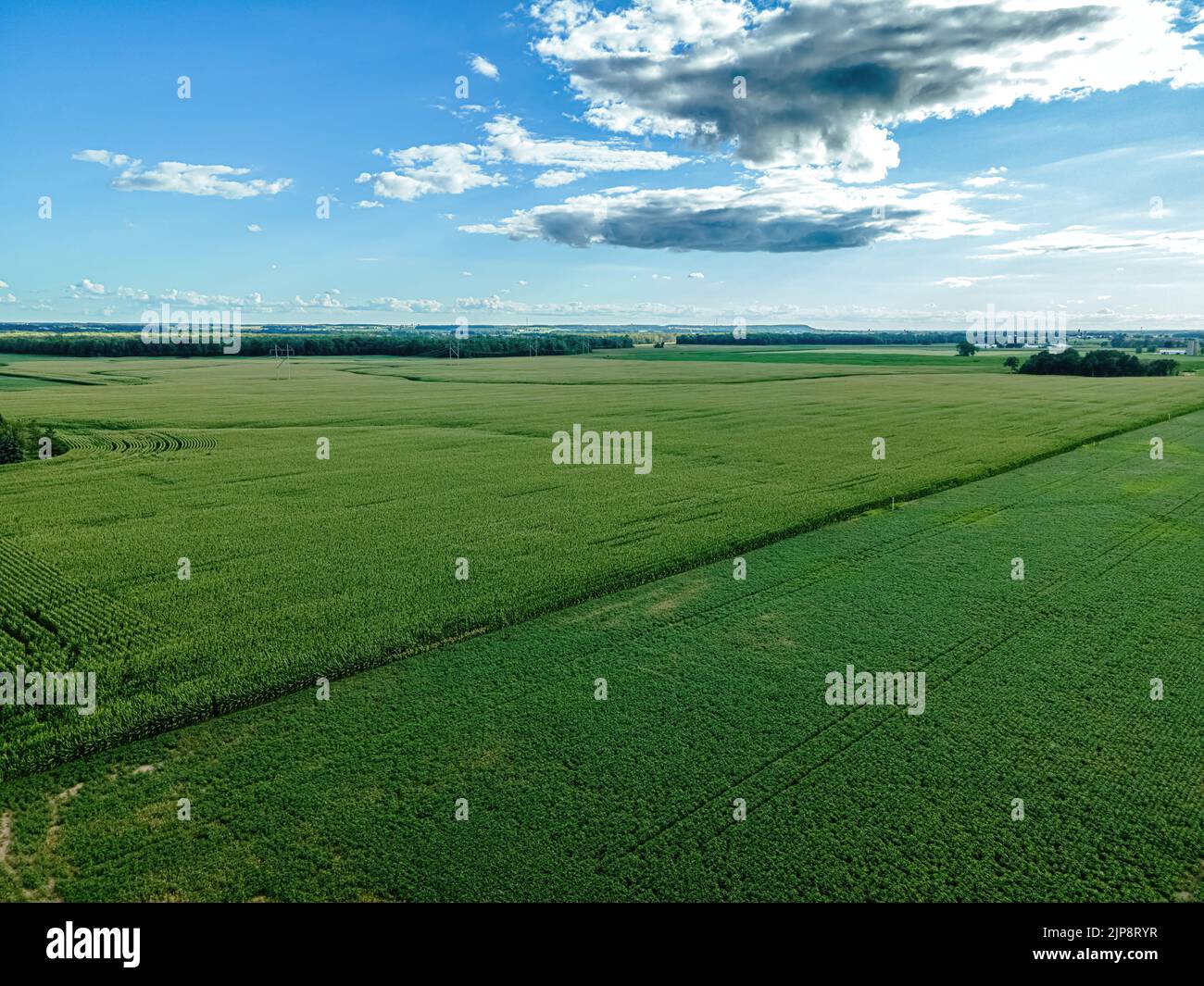 Eine breite offene Ansicht der Sommer-Farm Felder im ländlichen wisconsin Stockfoto