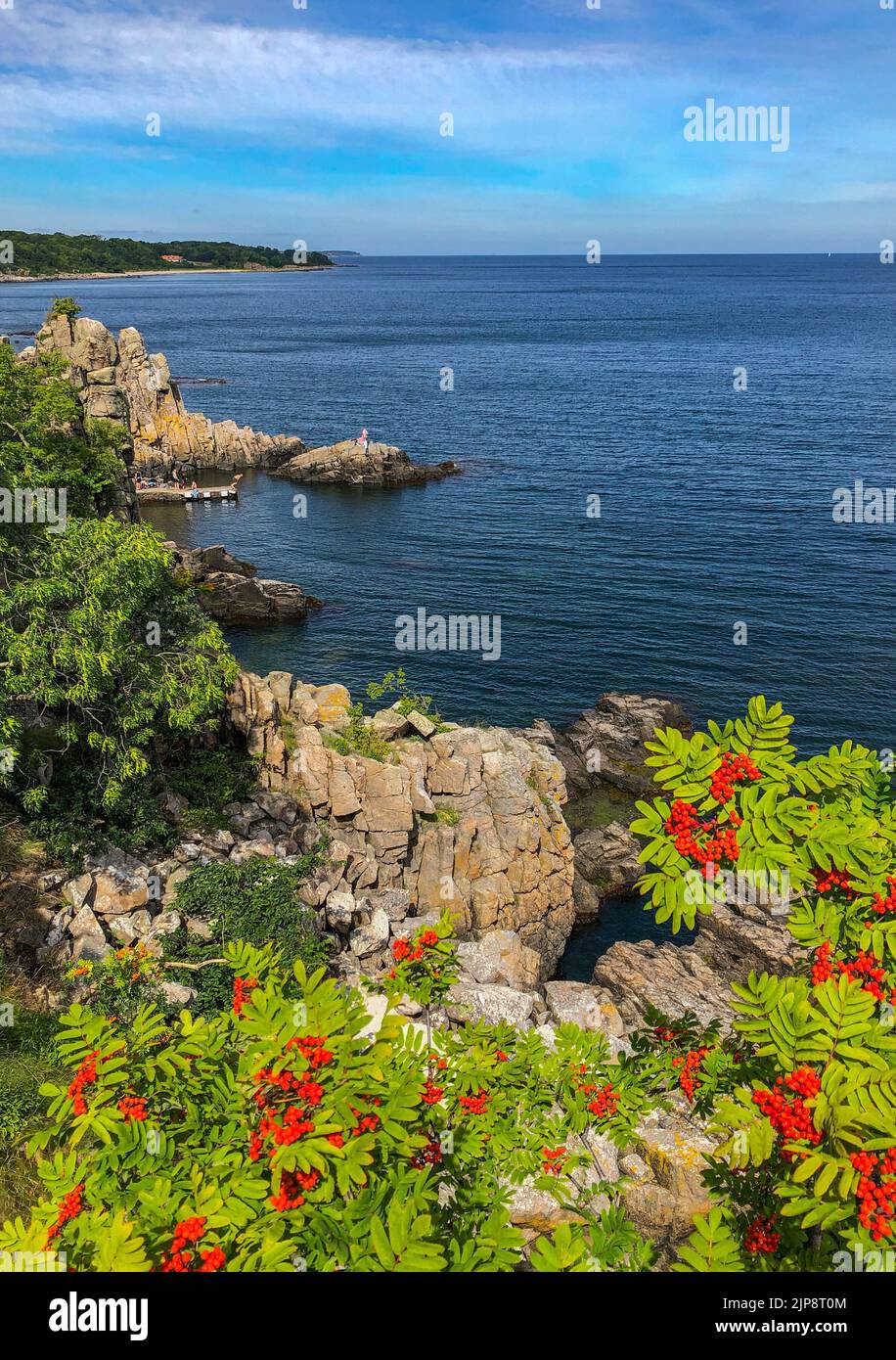 Gudhjem, Dänemark. 02. August 2022. Die Felsformation Helligdomsklipperne an der Nordküste der dänischen Ostseeinsel Bornholm. Die Insel Bornholm ist - zusammen mit dem vorgelagerten Archipel Ertholmene - Dänemarks östlichste Insel. Dank seiner Lage zählt die Insel Bornholm besonders viele Sonnenstunden. Quelle: Patrick Pleul/dpa/Alamy Live News Stockfoto