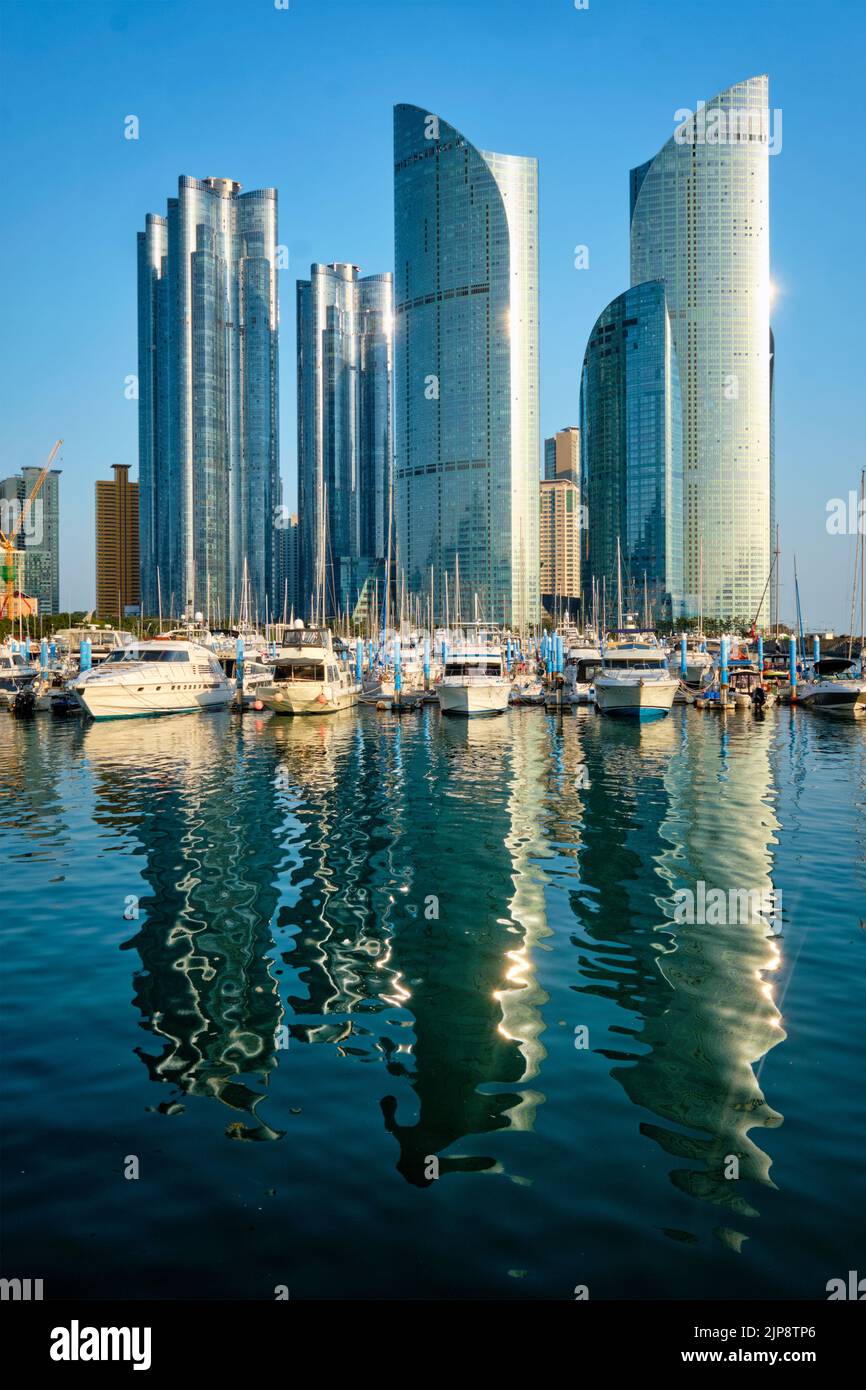 marina, Wolkenkratzer, busan, haeundae-gu, Yachthäfen, Wolkenkratzer, Busans Stockfoto