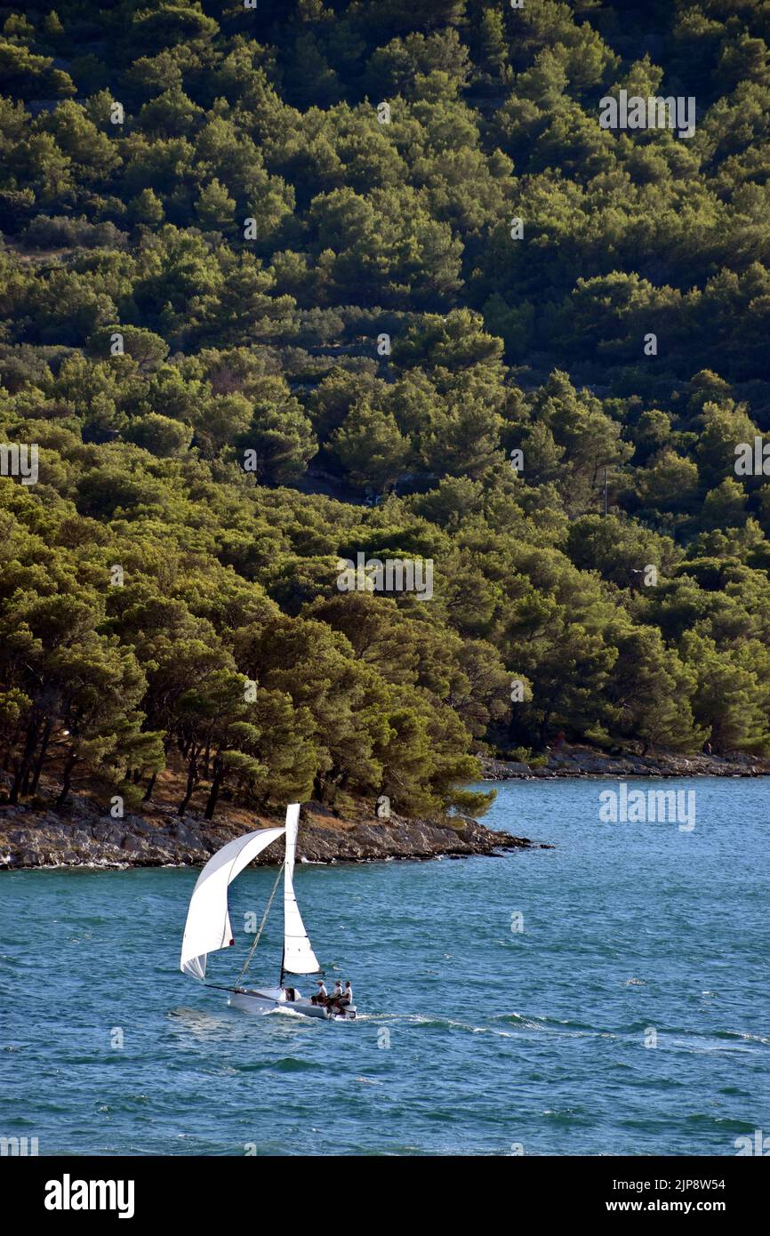 Segelboot segelt über blaues Meer an einem malerischen bewaldeten Ufer in der Nähe von Tisno, Insel Murter, in Kroatien, im vertikalen Format Stockfoto