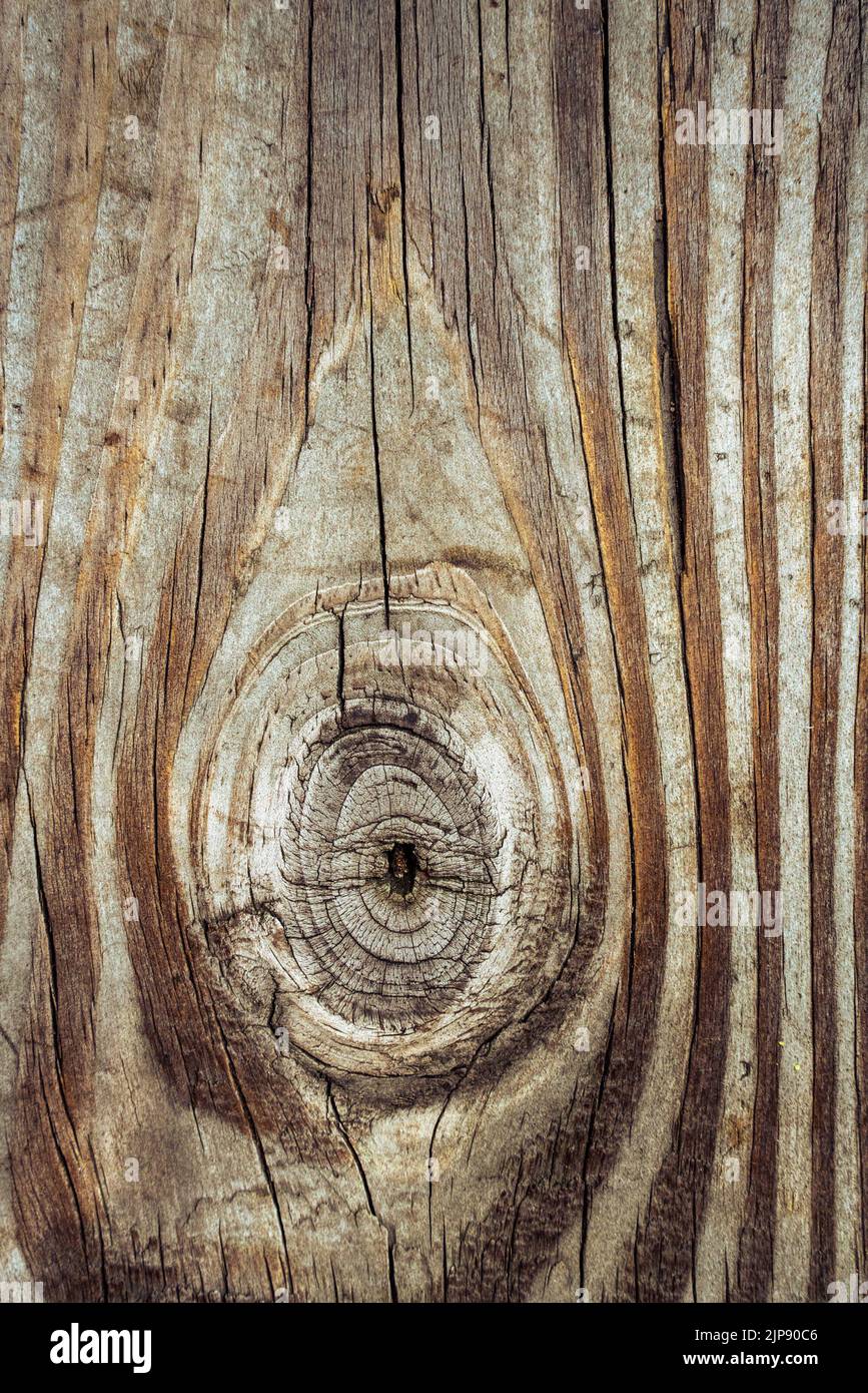 Detailreiche Holzstruktur mit Knoten- und Maserung in Nahaufnahme Stockfoto