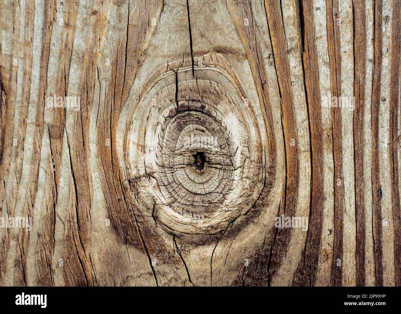 Detailreiche Holzstruktur mit Knoten- und Maserung in Nahaufnahme Stockfoto