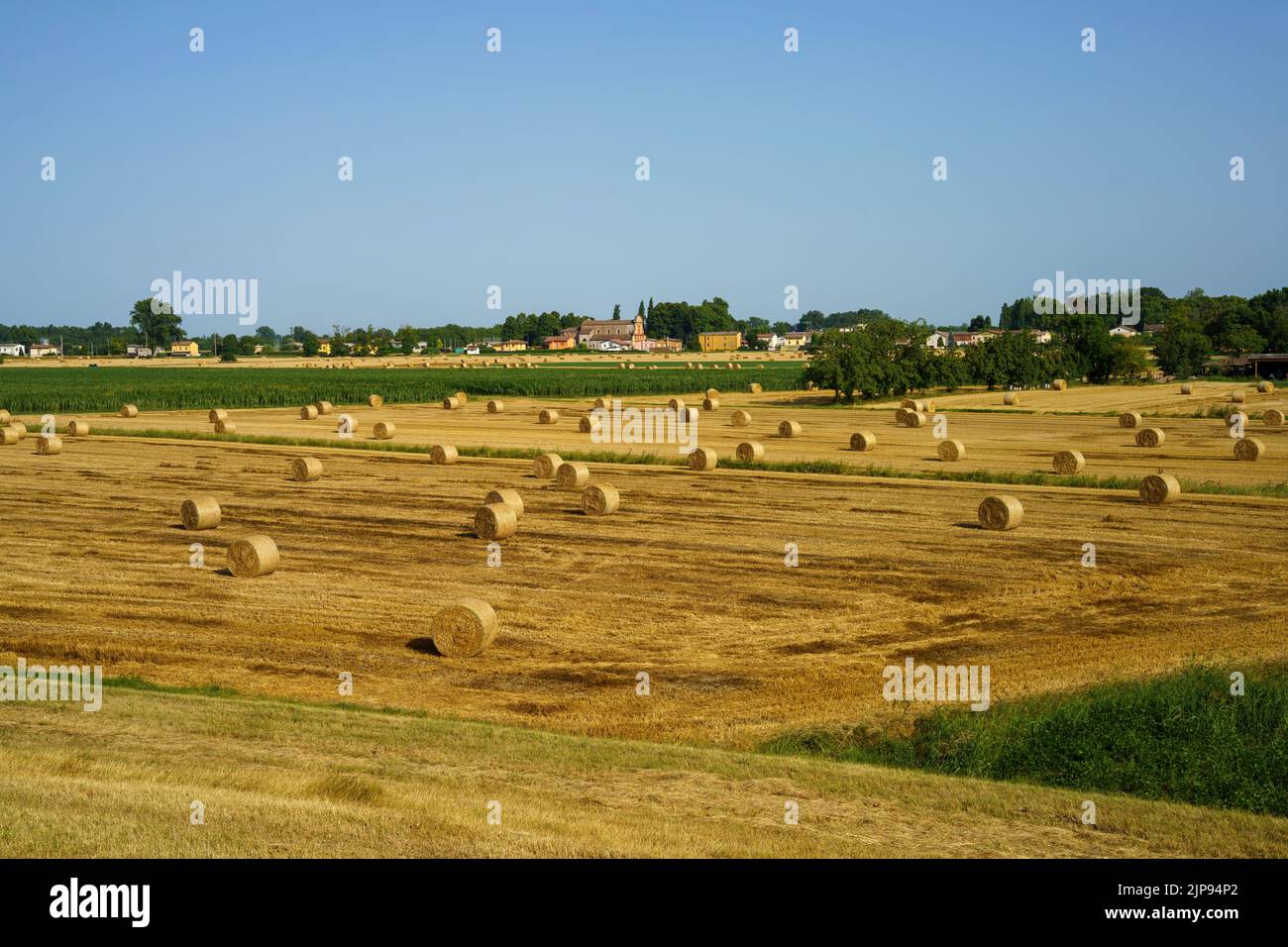 Ländliche Landschaft in der Nähe von Suzzara, in der Provinz Mantua, Lombardei, Italien im Sommer Stockfoto