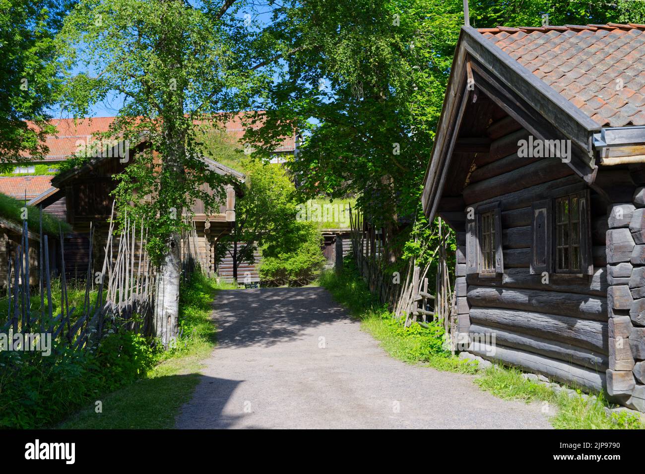 Alte Häuser im Freilichtmuseum in Norwegen, Holzwände und Grasdach Stockfoto
