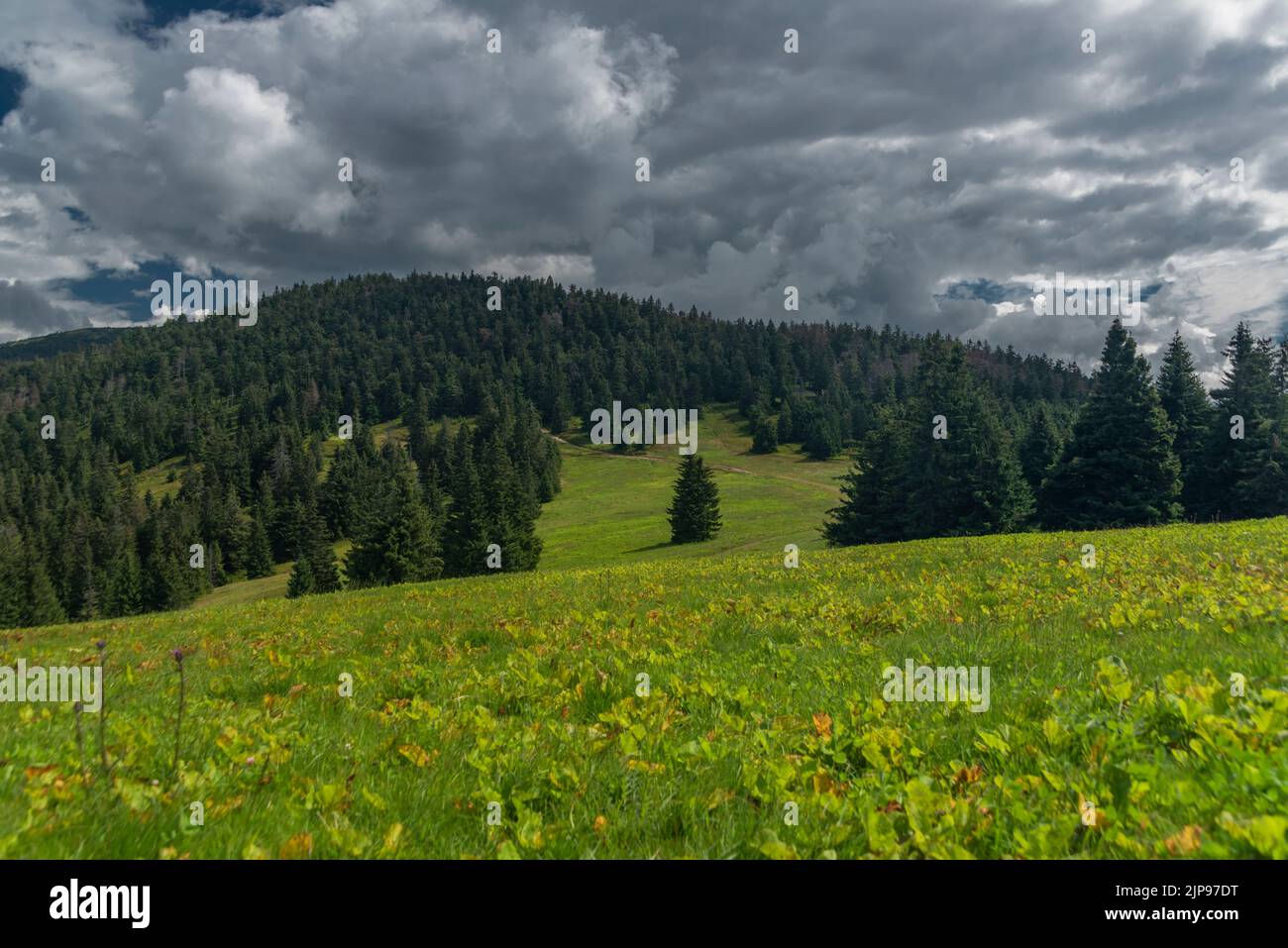 Sommer stürmisch bewölkten Tag im Zywiecki Park Krajobrazowy mit bunten frischen Blick Stockfoto