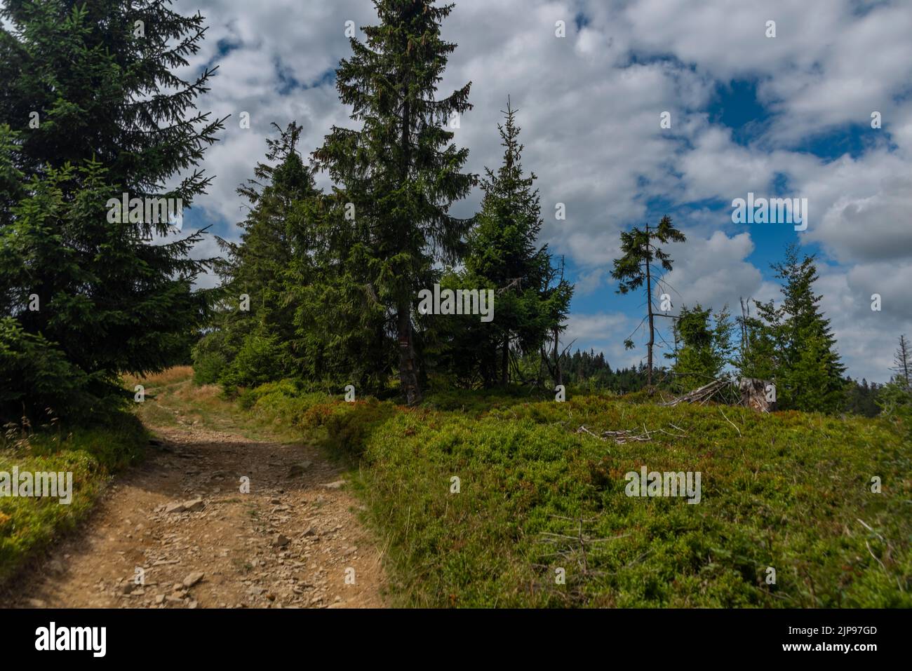 Sommer stürmisch bewölkten Tag im Zywiecki Park Krajobrazowy mit bunten frischen Blick Stockfoto