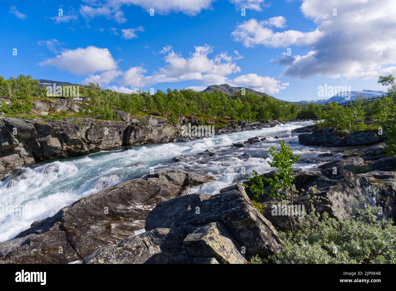 Jotunheimen National Park Wildfluss mit Stromschnellen von weißem Wasser in Norwegen Europa Stockfoto