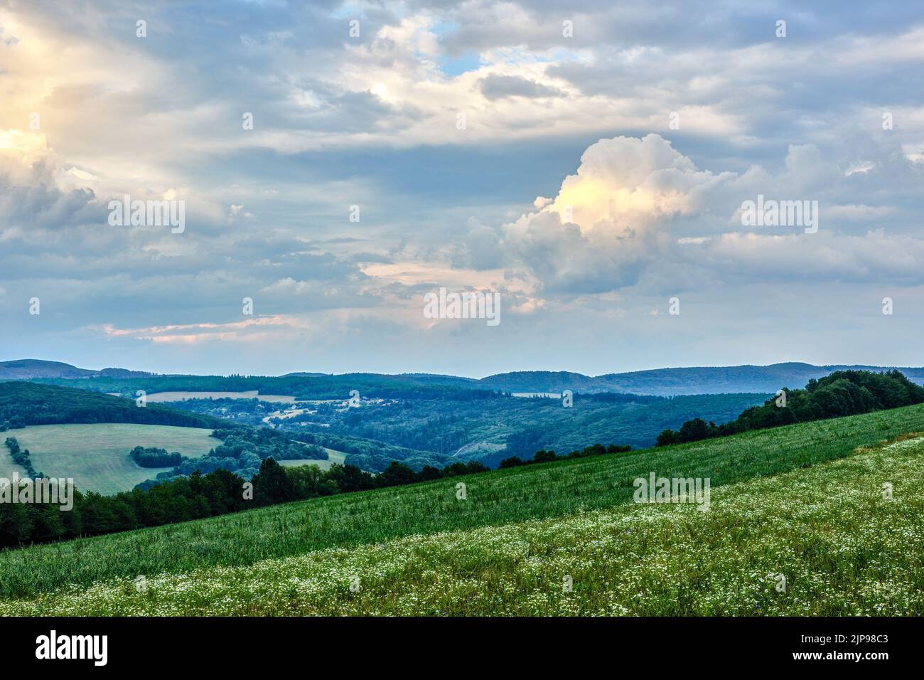 Ruhige Sommerlandschaft mit Wald. Wiese und Blumen im Vordergrund. Bunte Wolken. Blick auf das Tal. Natürlicher Hintergrund. Horna Suca, Slowakei Stockfoto