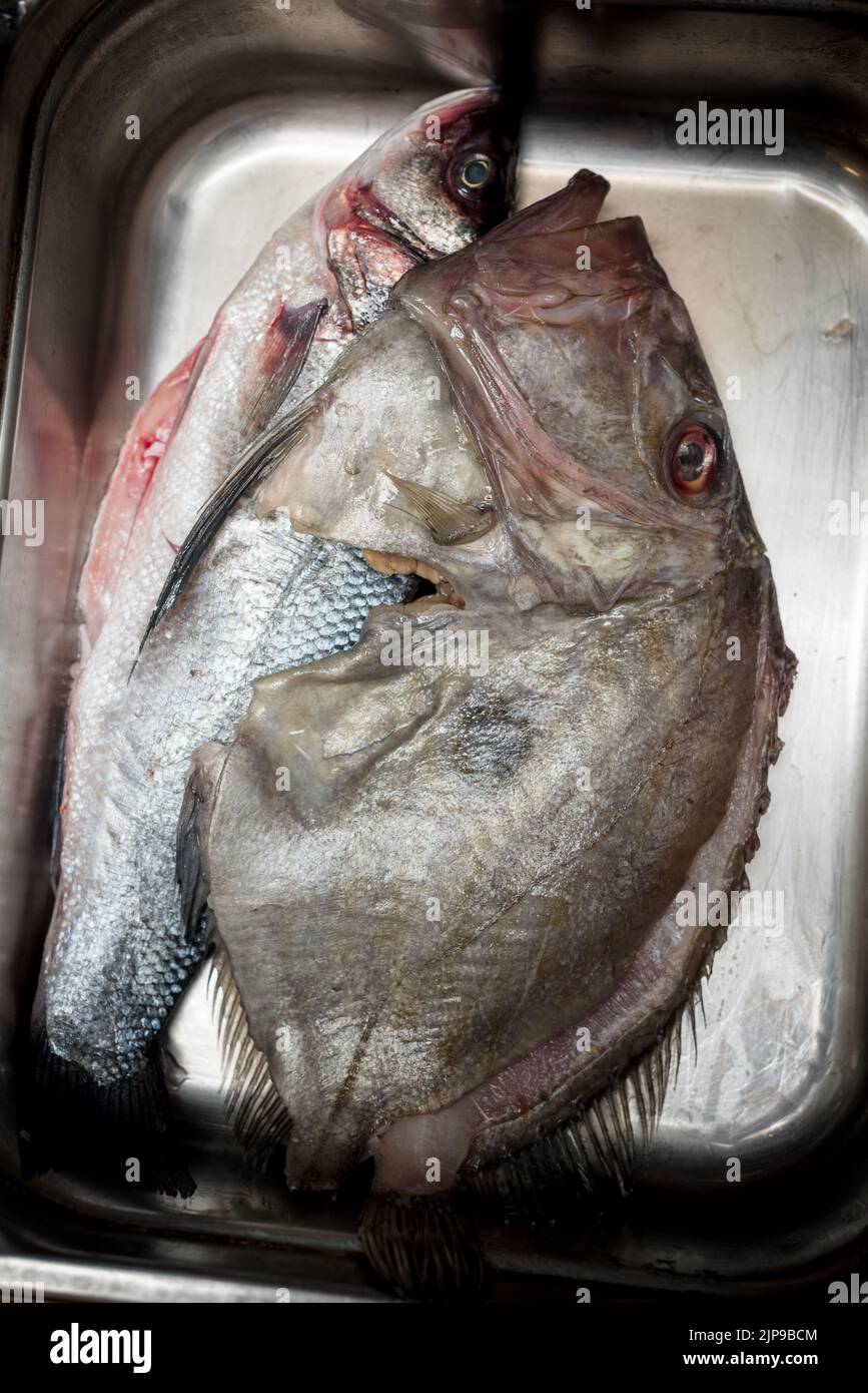 Zubereiteter Fisch, roher, roher Fisch, peter-Fisch, zubereitete Fische, raws, rohe Fische Stockfoto