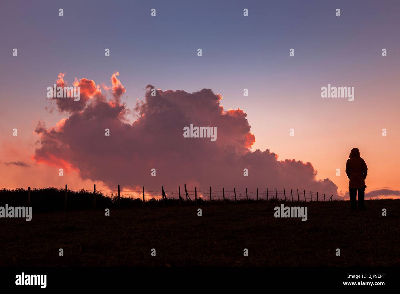 asiatische Frau in Cowboy Mode-Stil entspannen ihren Urlaub mit Kühen Familie gibt Weideplatz und bunte Natur Hintergrund Stockfoto