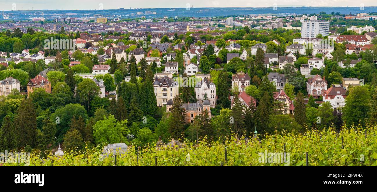 Schöner Panoramablick auf die Villen im Nerotal, die Stadt Wiesbaden und bis Rheinhessen, vom Weinberg Neroberg in Wiesbaden aus gesehen,... Stockfoto