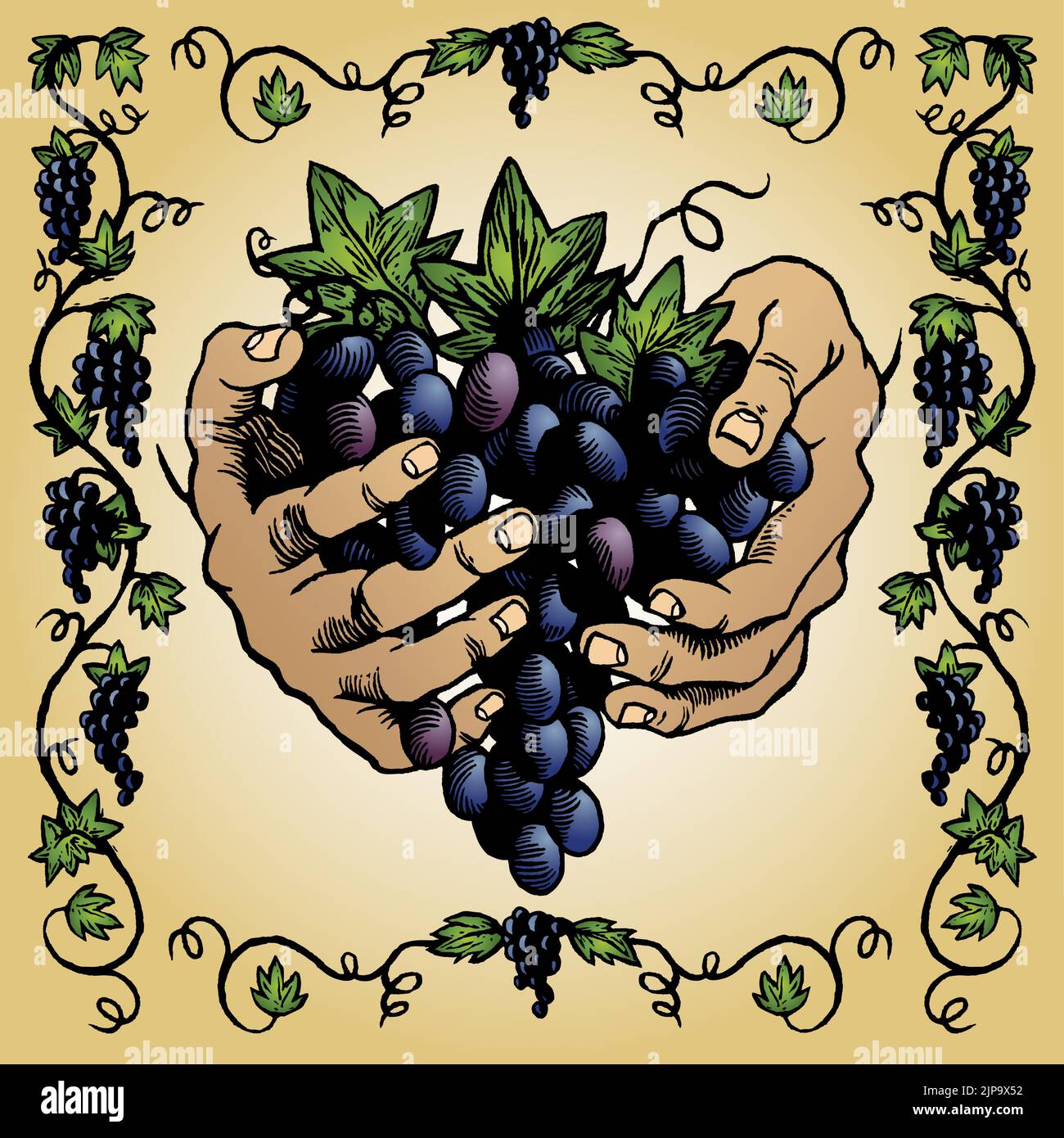 Eine Holzschnitt-Illustration mit einem Weinrebenrand und Händen, die ein Traubenbündel halten. Stock Vektor