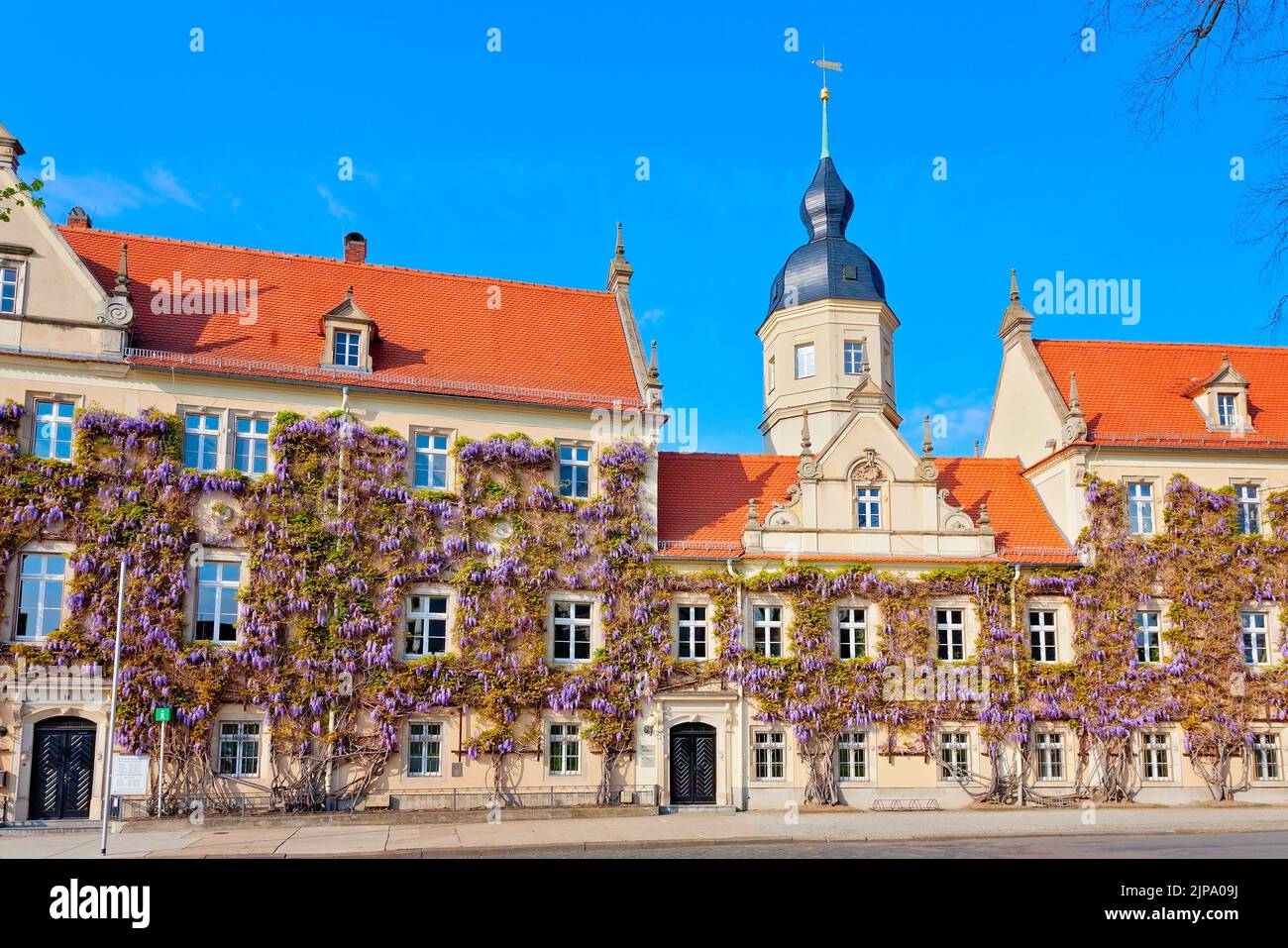 Rathaus der Stadt Riesa, Sachsen, Deutschland Stockfoto