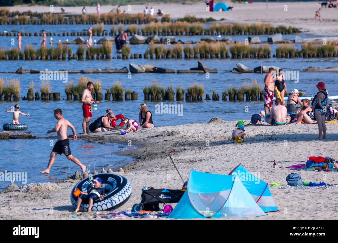 16. August 2022, Mecklenburg-Vorpommern, Ueckermünde: Der Strand an der  Stettin-Lagune ist trotz Warnungen vor Wasserverschmutzung in der oder gut  besucht. Nach dem massiven Fischsterben an der oder rät die Landesregierung  Mecklenburg-Vorpommern von