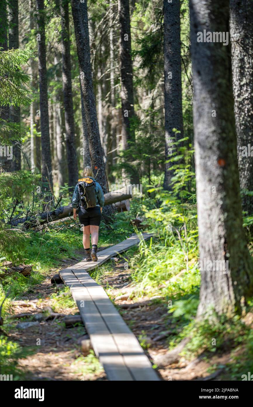 Outdoor aktive junge Erwachsene kaukasische Frau zu Fuß in den Wäldern, erkunden Stockfoto