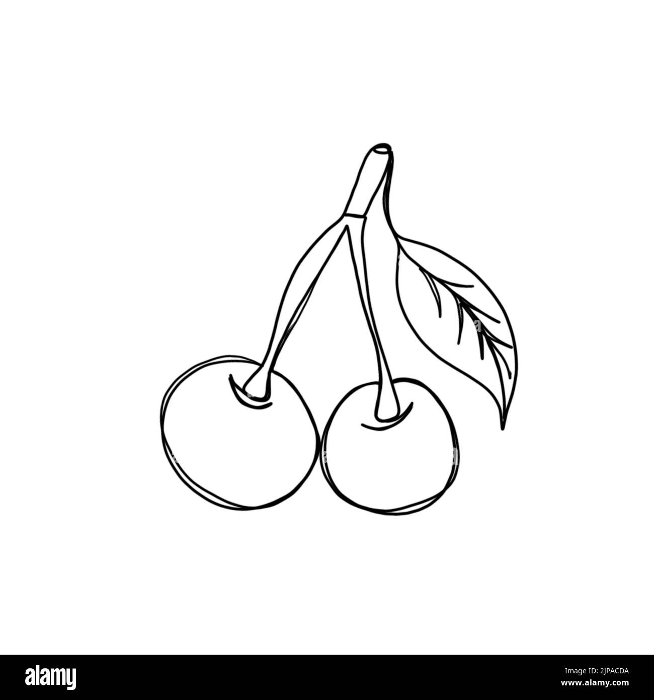 Eine einzige Zeilenzeichnung von ganzen gesunden Bio-Kirschen für Obstgarten-Logo-Identität. Moderne grafische Darstellung mit durchgehender Linienzeichnung Stockfoto