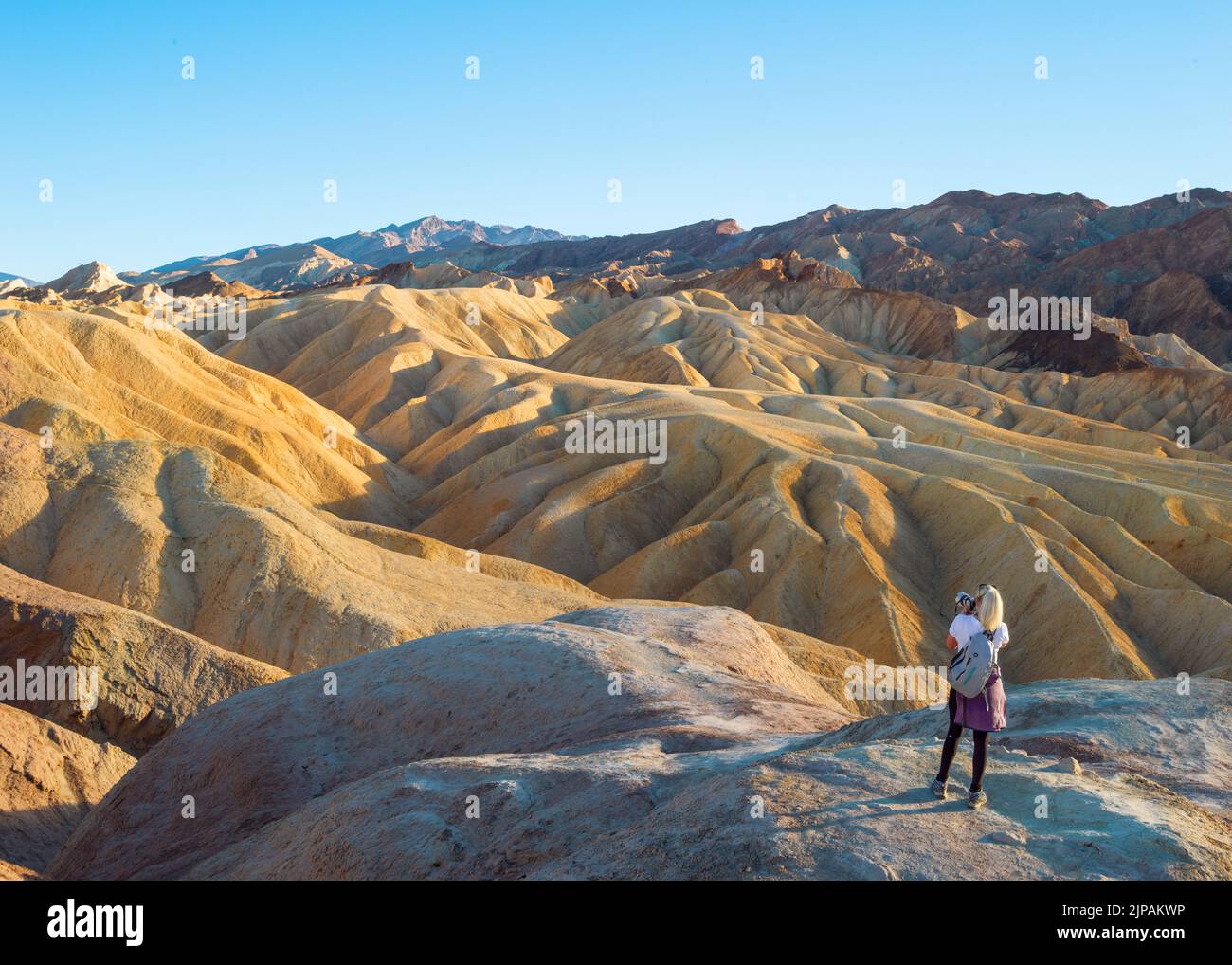 Wanderer bewundern das Naturwunder der Bad Lands Zabriskie Point, Death Valley National Park, Kalifornien, Nordamerika, USA Stockfoto