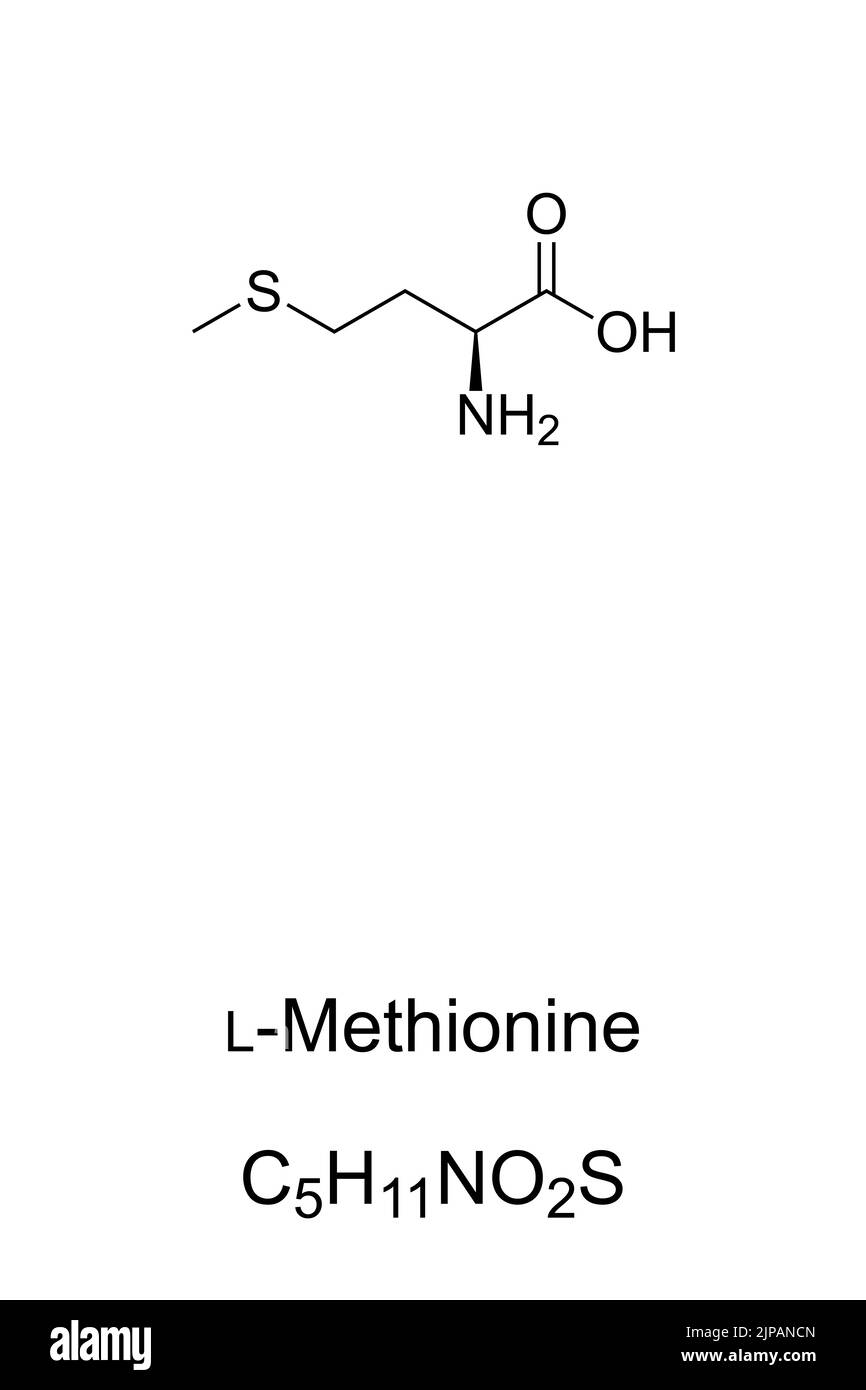 L-Methionin, chemische Formel und Skelettstruktur. Essentielle Aminosäure beim Menschen. Spielt eine entscheidende Rolle für den Stoffwechsel und die Gesundheit. Stockfoto