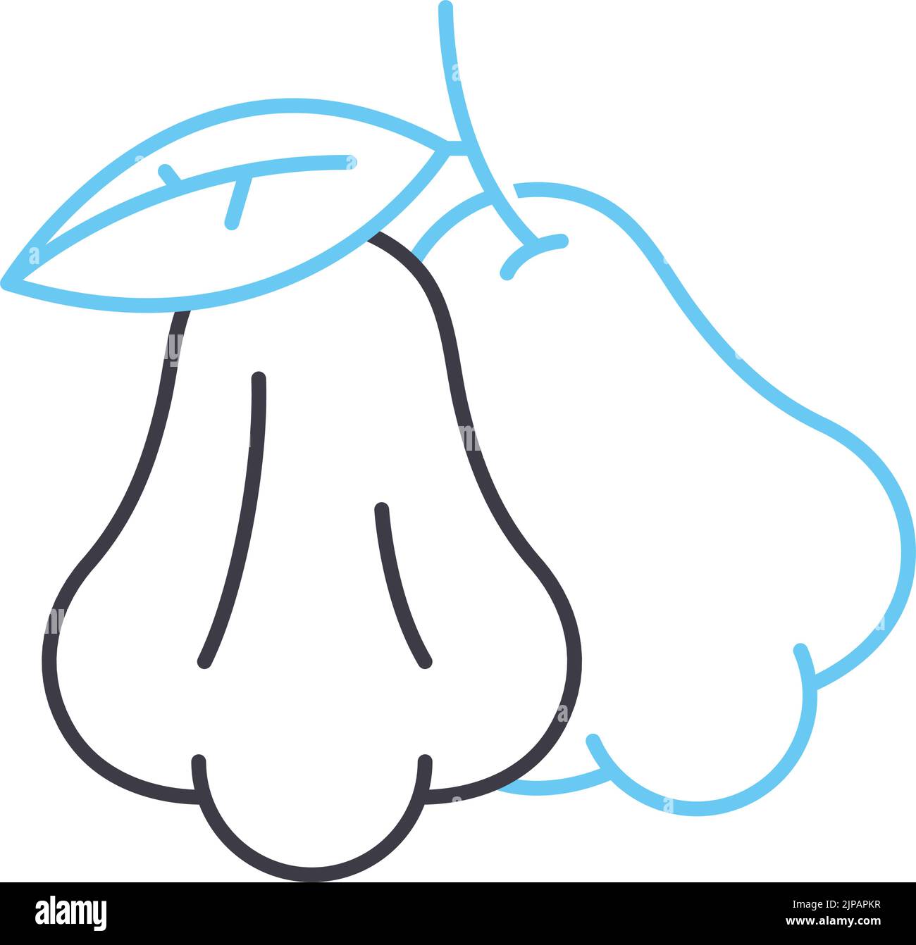 Symbol für die Roseapple-Linie, Umrisssymbol, Vektordarstellung, Konzeptzeichen Stock Vektor