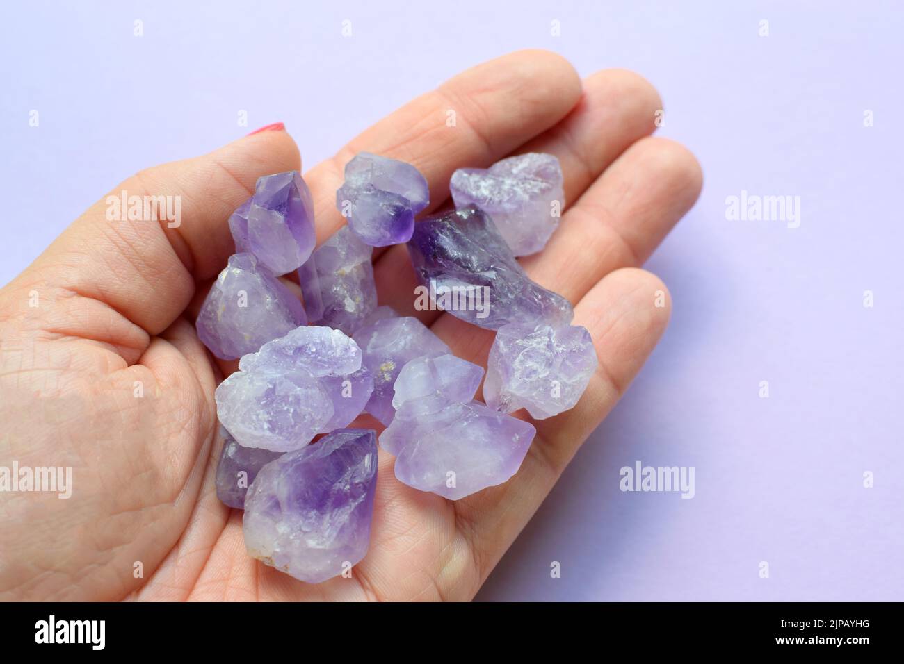 Schöne Halbedelsteine in weiblicher Hand. Eine Frau hält purpurne Amethyst-Kristalle in ihren Händen. Magische Steine für Meditation. Stockfoto