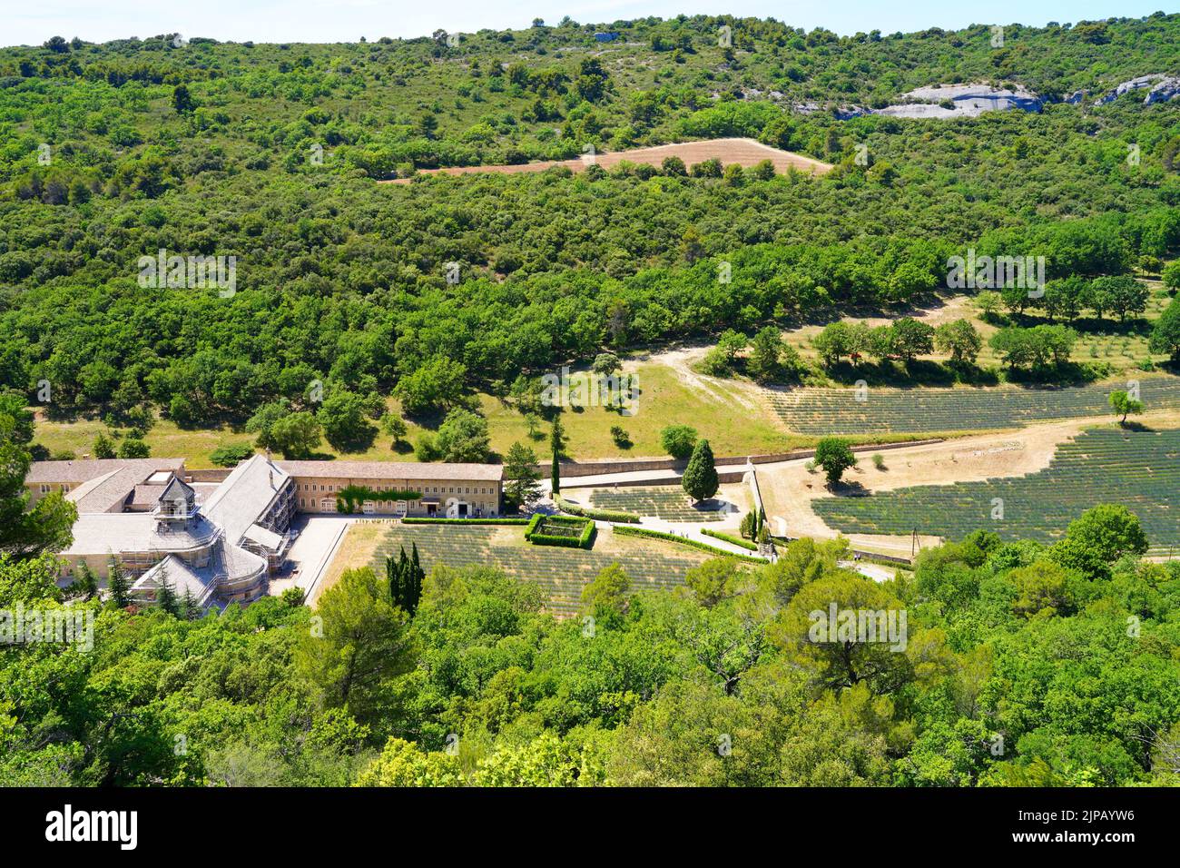 GORDES, FRANKREICH -1 JUL 2021- Blick auf die Abbaye Notre-Dame de Senanque, ein Wahrzeichen des Zisterzienserklosters, umgeben von Lavendelfeldern in Gordes, Lubero Stockfoto