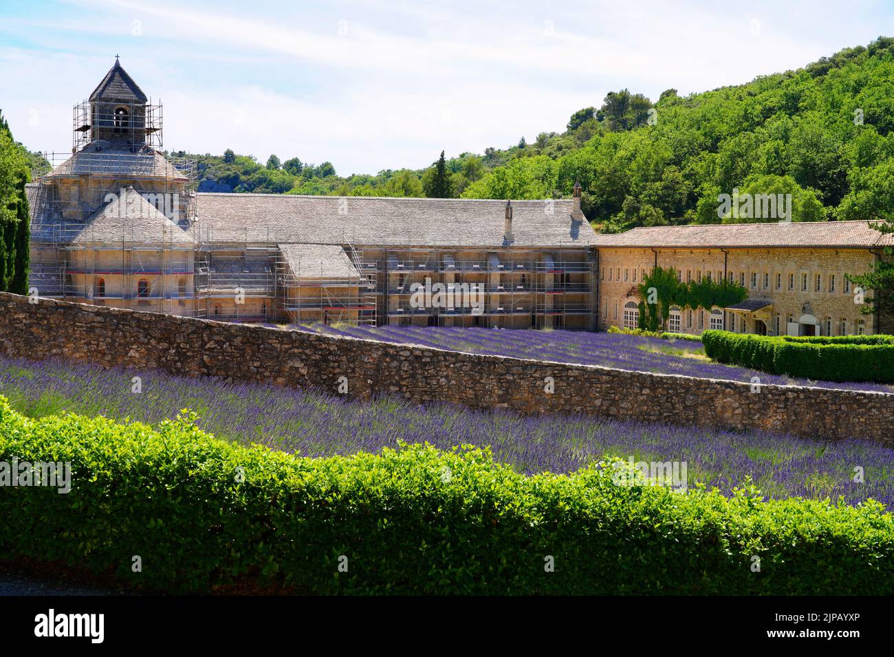 GORDES, FRANKREICH -1 JUL 2021- Blick auf die Abbaye Notre-Dame de Senanque, ein Wahrzeichen des Zisterzienserklosters, umgeben von Lavendelfeldern in Gordes, Lubero Stockfoto