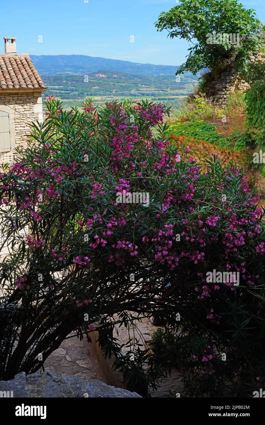 GORDES, FRANKREICH -1 JUL 2021- Blick auf die Innenstadt von Gordes, einem mittelalterlichen Dorf in der Region Luberon in Vaucluse, Provence, Frankreich. Stockfoto