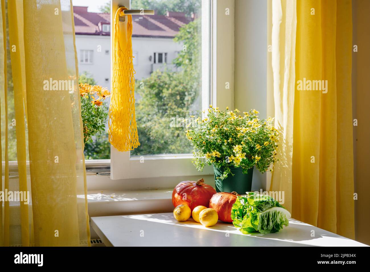 Netztüte, die am Fenstergriff hängt, und Gemüse - Punpkin, grüner Salat - auf einem Tisch liegen. Zero Waste und Kunststoff-freies Konzept. Stillleben. Kaufen Sie lokale Bio-Lebensmittel ein Stockfoto