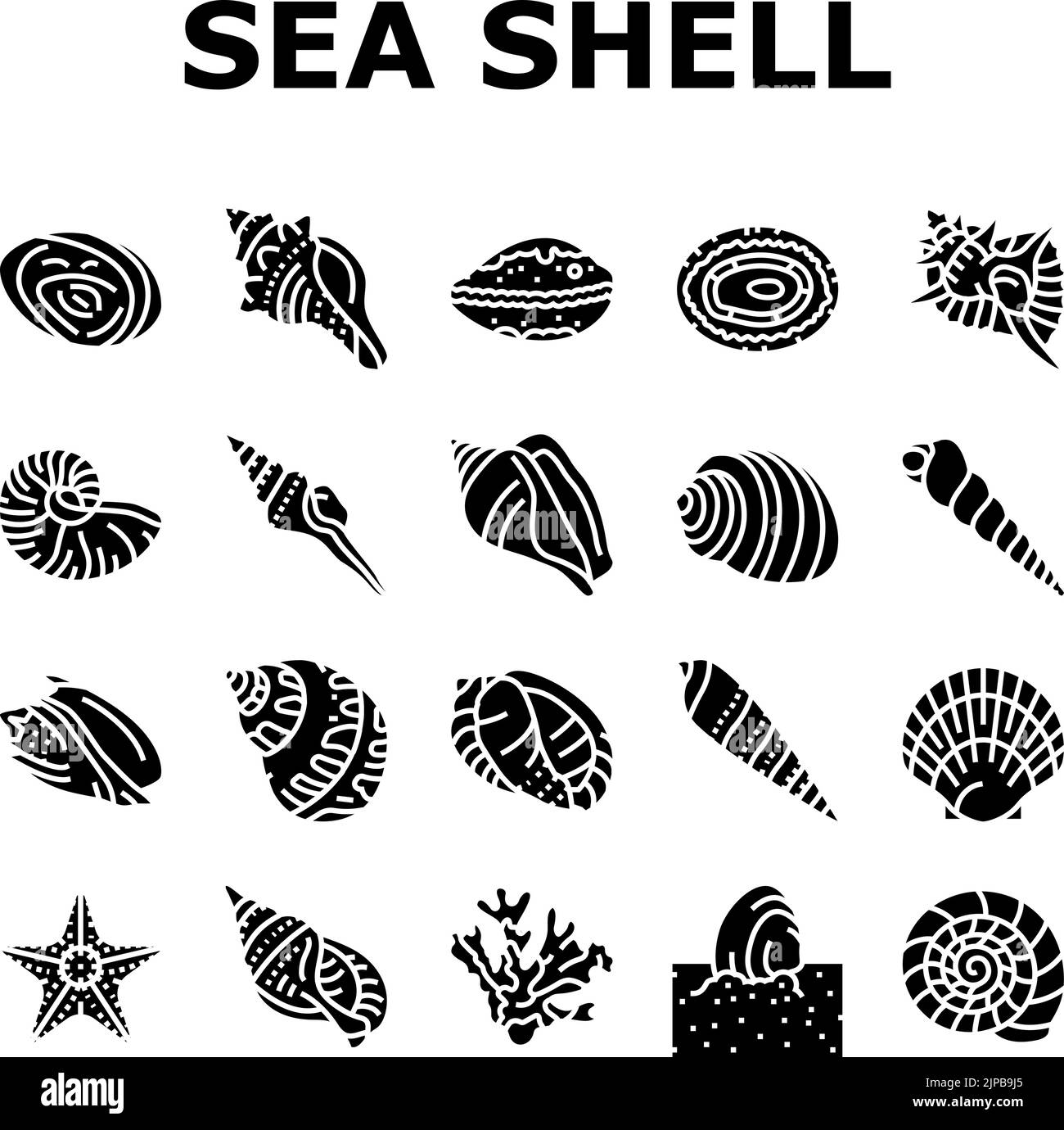 Sea Shell Strand Sommer Ozean Symbole setzen Vektor Stock Vektor