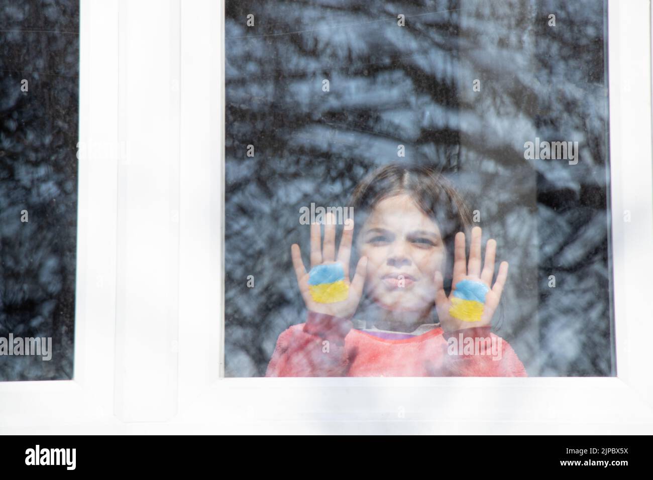 Ein kleines Mädchen im Fenster ihres Hauses mit einer gelb-blauen Flagge der Ukraine, Frieden in der Ukraine, den Krieg beenden, Protest und Patriot, Heimat Ukraine Stockfoto