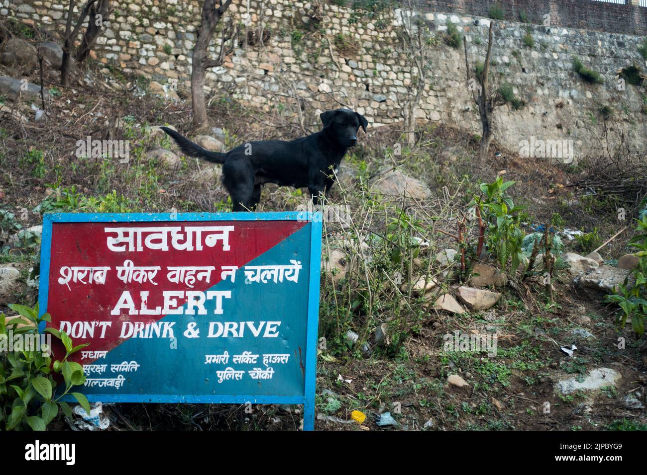 Englische Übersetzung des Textes: 'Don't Drink and drive' Verkehrspolizei dehradun. Straßenrand Bord mit Warnung geschrieben auf in Hindi in Indien . Stockfoto