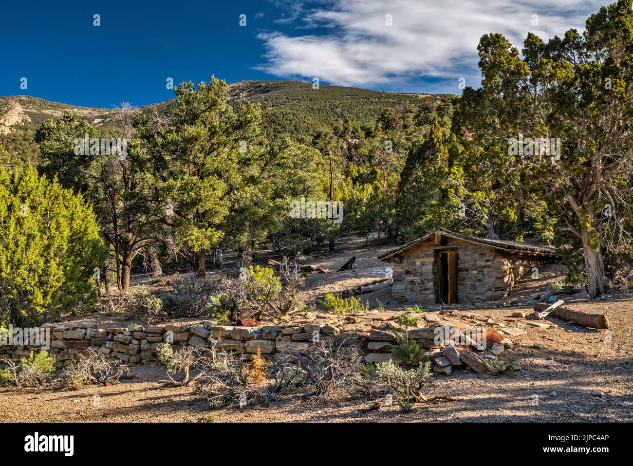 Steinhütte in der Nähe der Bonita Mine, est. Von John Tilford, Snake Creek Canyon, Great Basin National Park, Nevada, USA Stockfoto