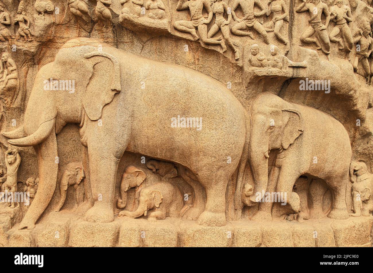 Arjunas Buße ist ein Denkmal in Mahabalipuram, Tamil Nadu, Indien. Geschnitzt auf zwei monolithischen Felsbrocken. Ein UNESCO-Weltkulturerbe, Stockfoto